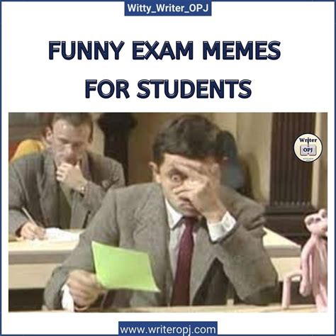 humorous exam memes